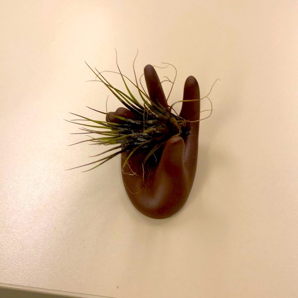 Meet your Posher, Reggie